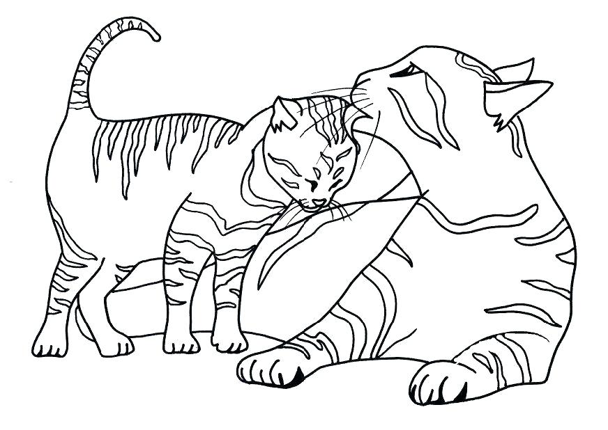 872x618 Dog And Cat Coloring Pages Printable Cat Coloring Pages To Print