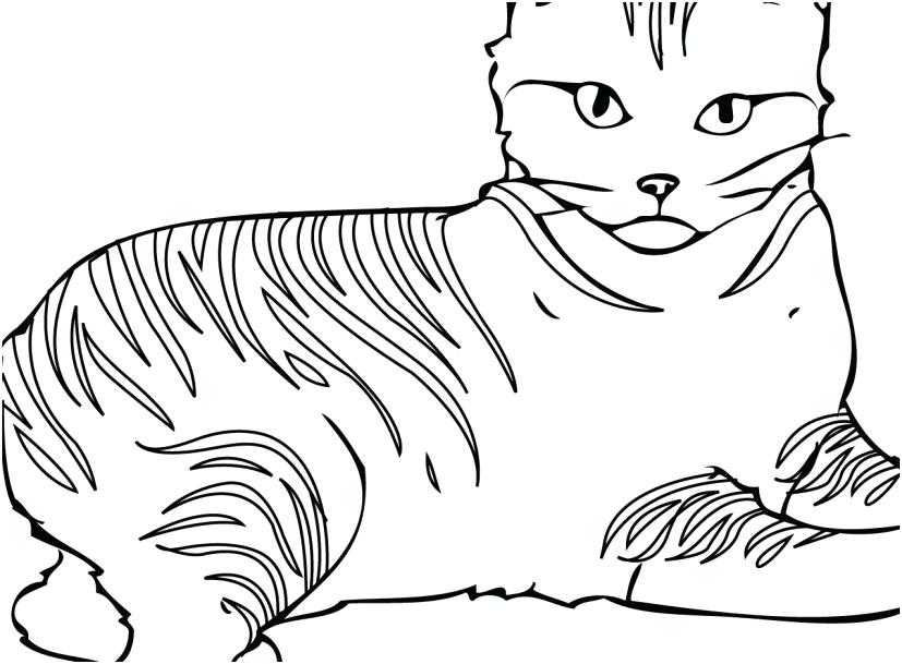 827x609 Cat Coloring Books Cat Coloring Pages Free Printable For Kids Cat