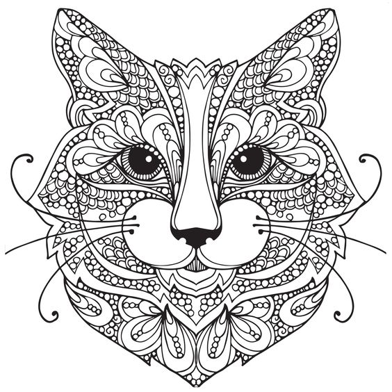 564x564 Cat Face Coloring Page Got Coloring Pages
