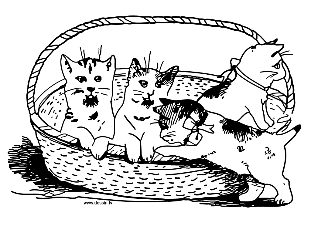 1024x768 Cute Cat Coloring Pages