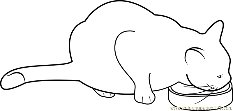 800x381 Cat Eating Her Food Coloring Page
