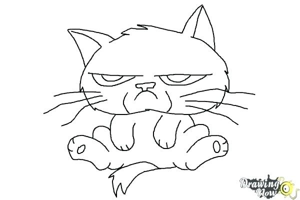 600x400 Cat Face Coloring Page The Cat In Hat Coloring Pages Page To Print