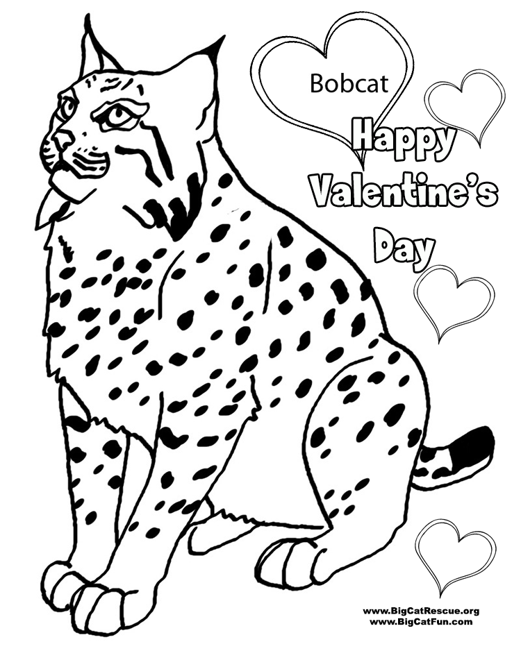 750x938 Bobcat Coloring Pages To Download And Print For Free