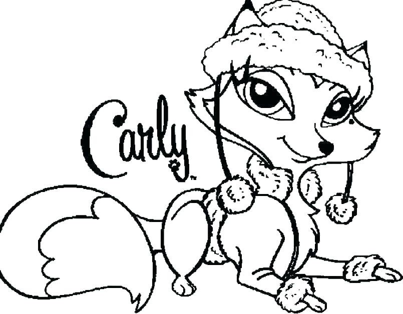805x628 Catdog Coloring Pages Cat Dog Coloring Pages Free And Realistic