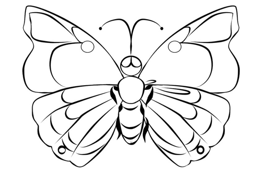 850x567 Caterpillar To Butterfly Coloring Page
