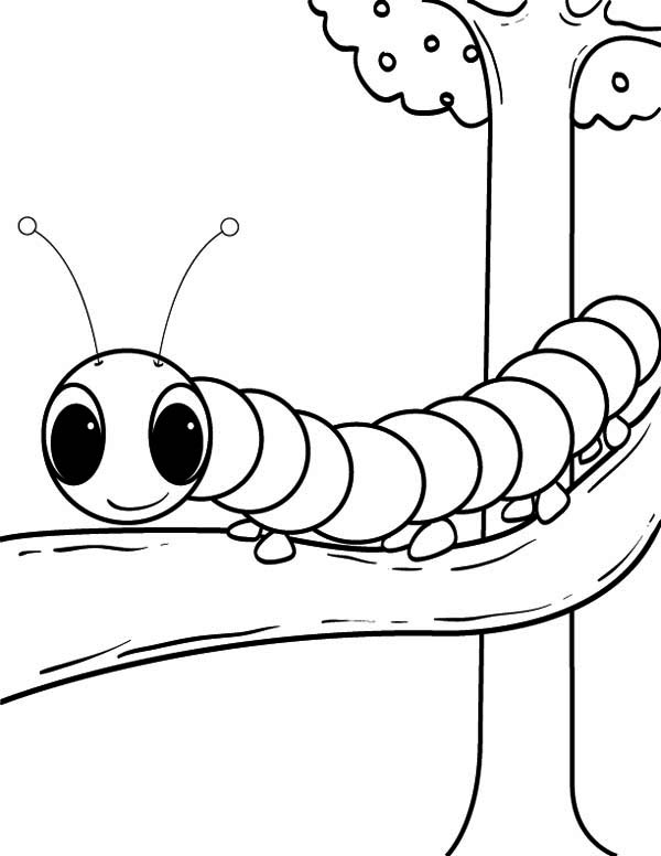 600x776 Caterpillar Coloring Pages