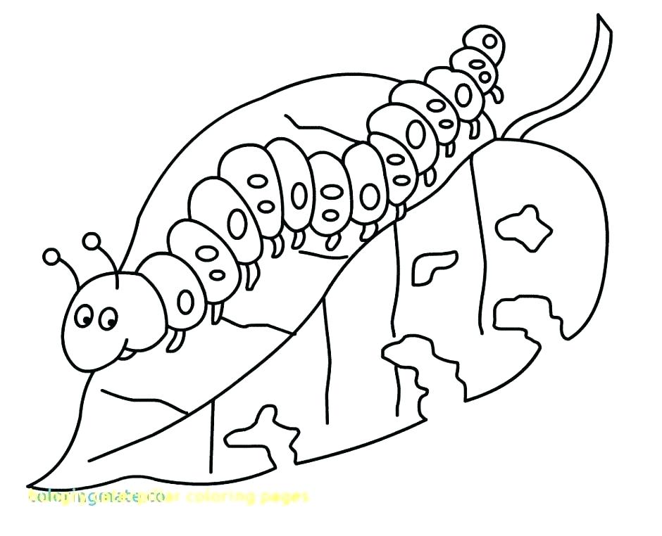 940x762 Caterpillar Coloring Pages Preschool Coloring Pages For Kids