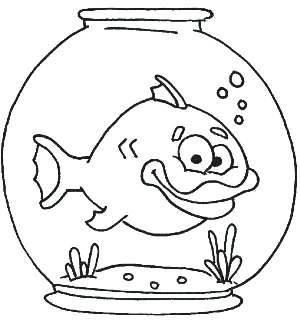 600x640 Catfish Coloring Page Drawings Of Channel