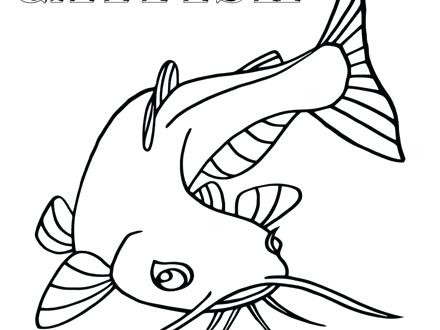 440x330 Catfish Coloring Page Jr Coloring Pages And Printable Coloring
