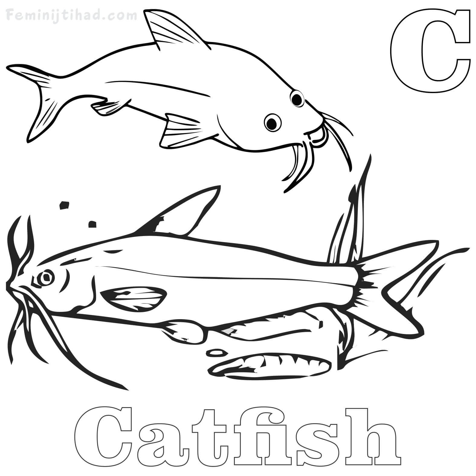 1575x1575 Catfish Coloring Pages Printable For Free Coloring Pages For Kids