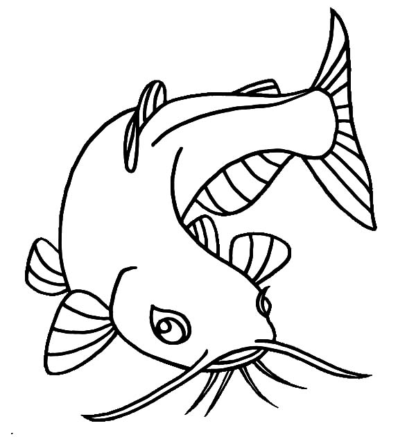 600x630 Catfish With Beuatiful Eyes Coloring Pages Best Place To Color