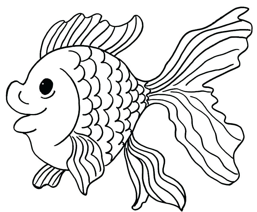 850x701 Fish Bowl Coloring Pages Catfish Coloring Page Printable Fish