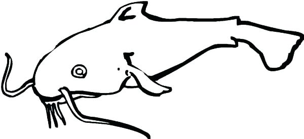 600x275 Catfish Coloring Page