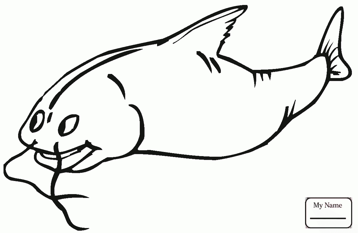 1224x797 Catfish Coloring Page