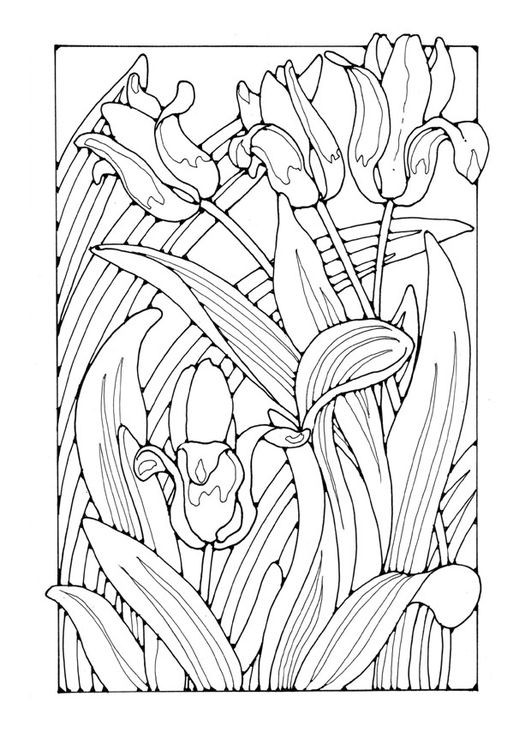 531x750 Cathedral Coloring Pages Inspirational Best Adult Coloring