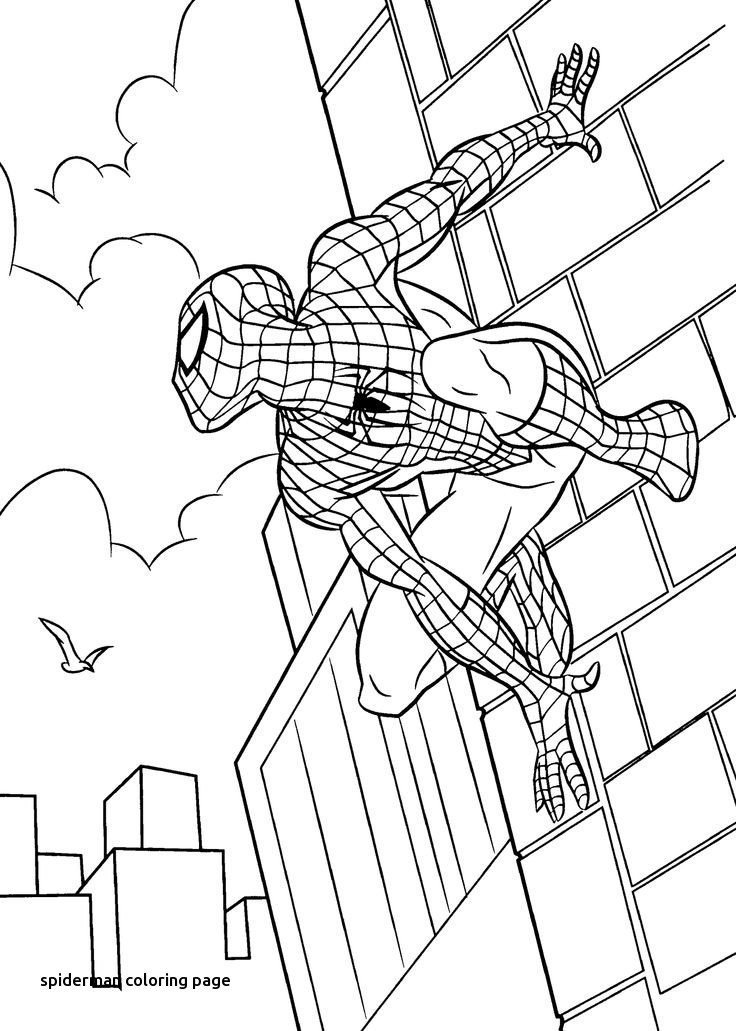 736x1031 Best Catoon Coloring Pages Images On For Spiderman