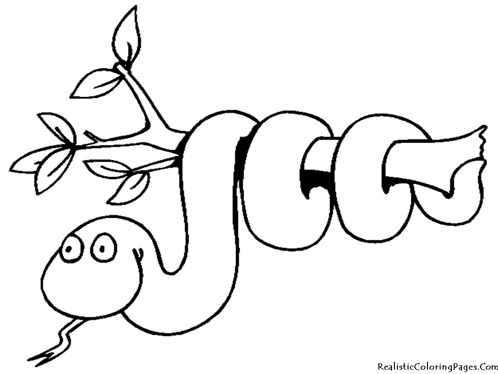 1024x768 Snake Coloring Pages
