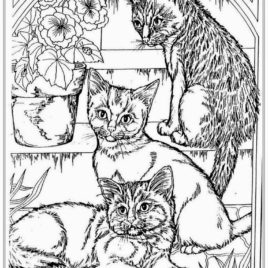 268x268 Coloring Pages For Adults Cats Archives
