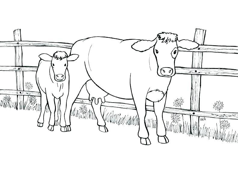 792x607 Cow Coloring Page Cow Coloring Page With Wallpaper Background