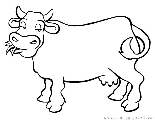 650x502 Cow Coloring Pages For Adults