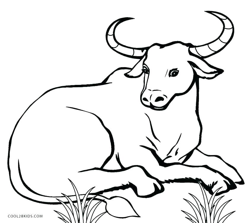 850x754 Inspiring Cows Coloring Pages Cow Coloring Pages Free Printable