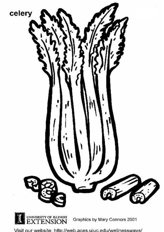 531x750 Coloring Page Celery