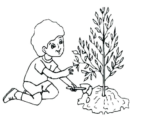 618x522 Cell Coloring Page Plant Coloring Sheet Plant Coloring Sheets Cell