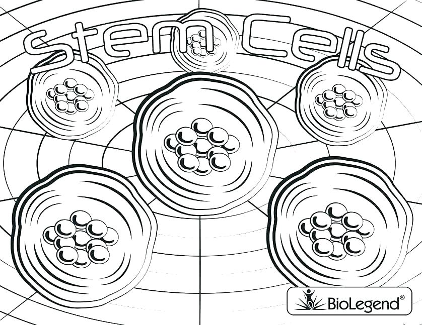 838x647 Cell Coloring Pages Cell Coloring Page Amazing Cell Coloring E