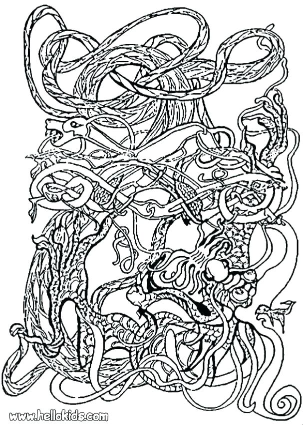 607x850 Celtic Knot Coloring Pages Coloring Pages Symbol Coloring Page