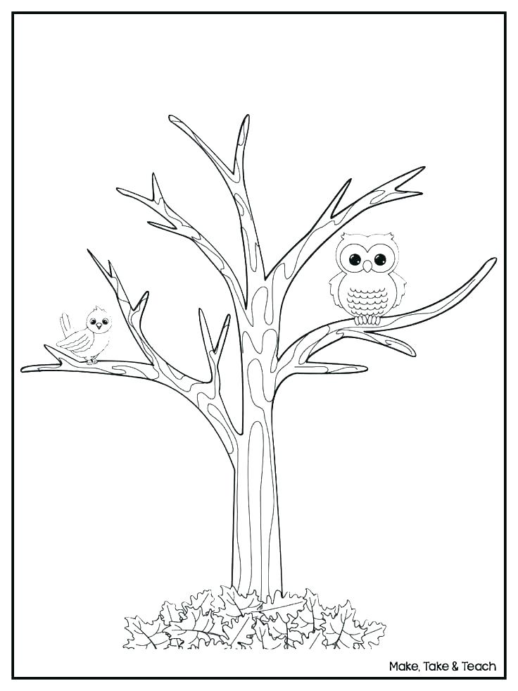 736x981 Coloring Pages Tree Autumn Tree Coloring Pages Printable Colouring
