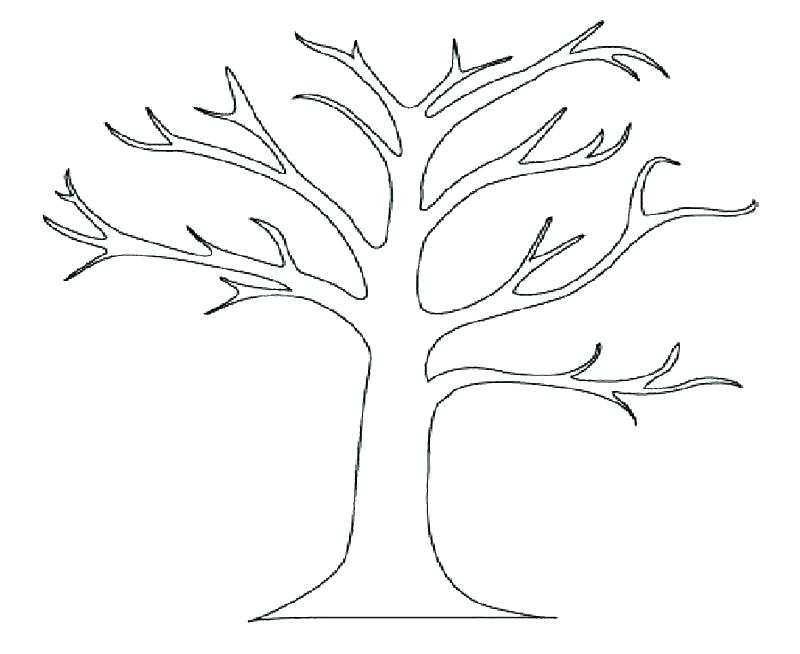 800x654 Tree Of Life Coloring Pages