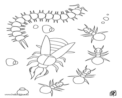 Centipede Coloring Page at GetDrawings | Free download