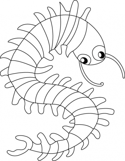 420x539 Crawling Centipede Coloring Pages Download Free Crawling