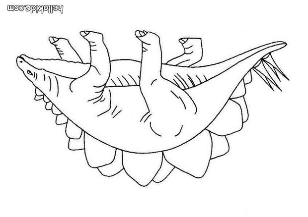 620x438 Stegosaurus Coloring Pages