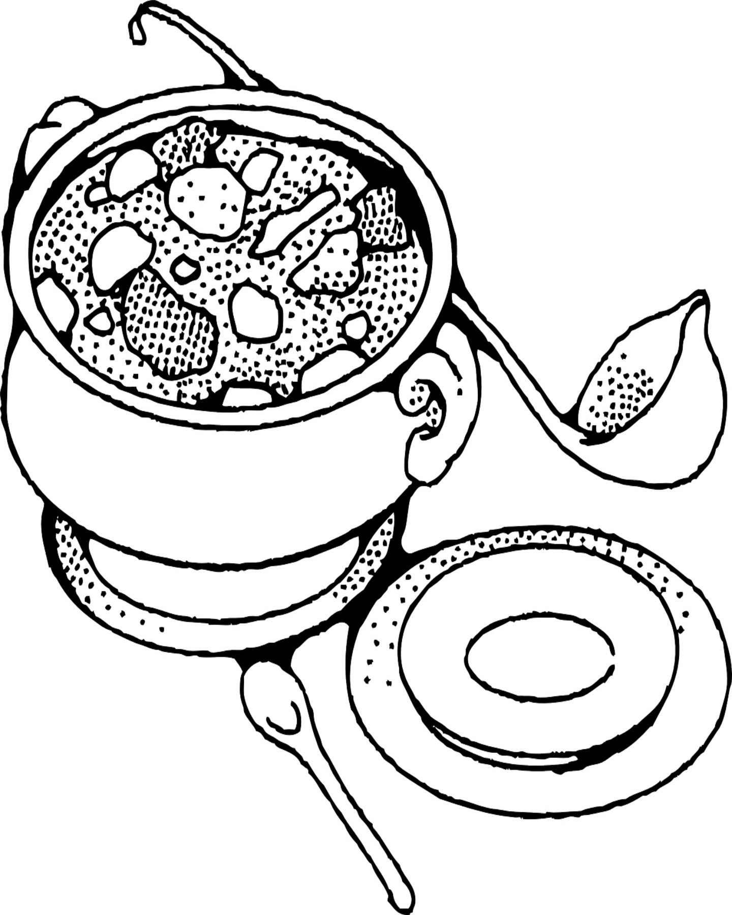 1440x1800 Bowl Of Chili Coloring Page