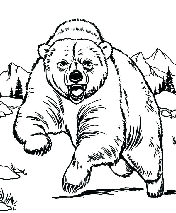 600x727 Cesar Chavez Coloring Page Pages Bears Bear Free Printable