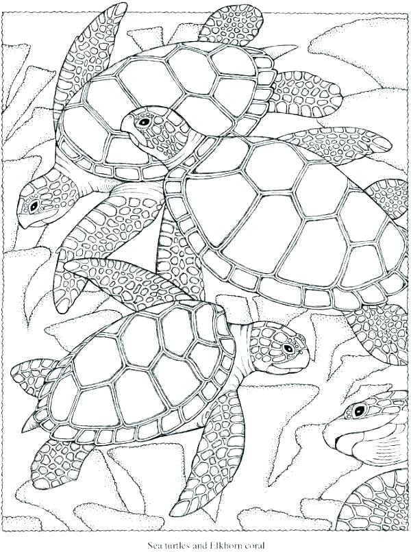 600x806 Hard Christmas Coloring Pages