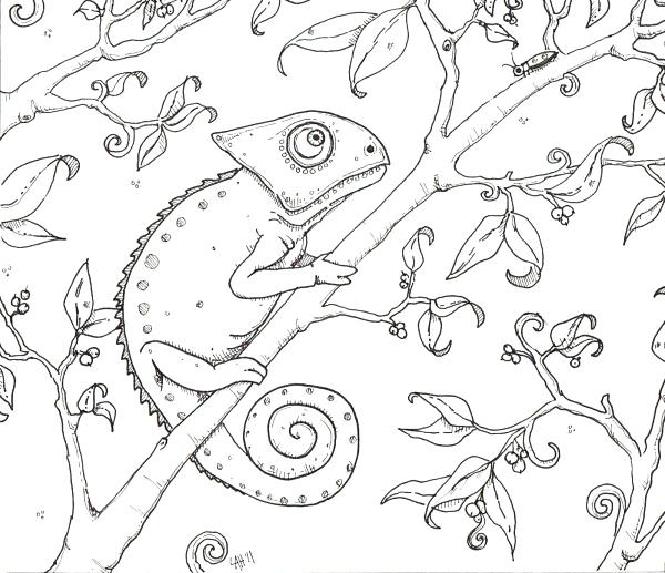 600x517 Chameleon Coloring Pages Chameleon Coloring Page Coloring Pages