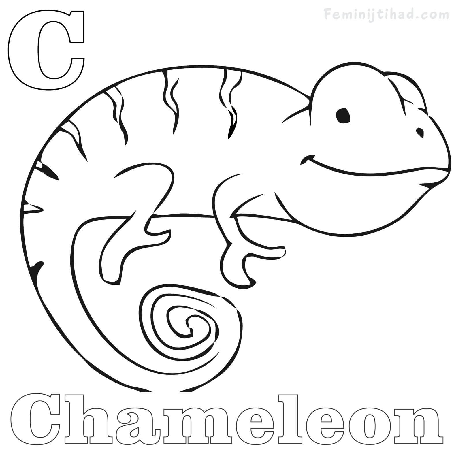 1575x1575 Chameleon Coloring Pages Printable Coloring Pages For Kids