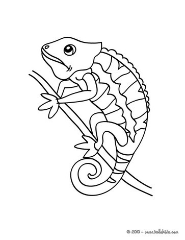 363x470 Chameleon Picture Coloring Pages