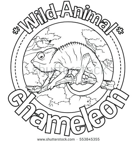450x470 Chameleon Coloring Pictures Animal Chameleon Coloring Book