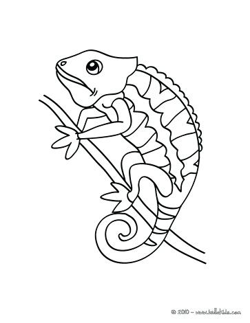 363x470 Chameleon Coloring Pictures Coloring Pages Online For Adults Free