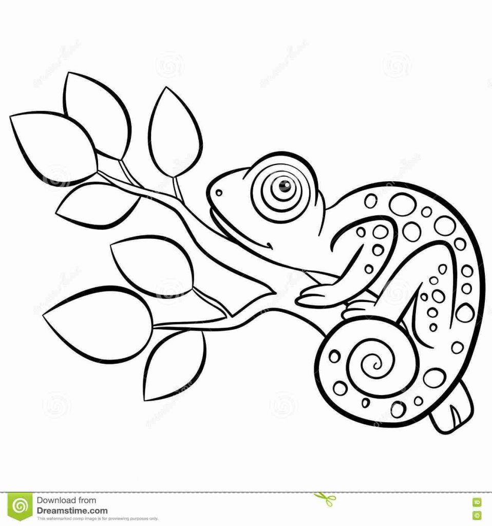 958x1024 Chameleon Coloring Page