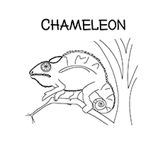 230x230 Chameleon Coloring Pages