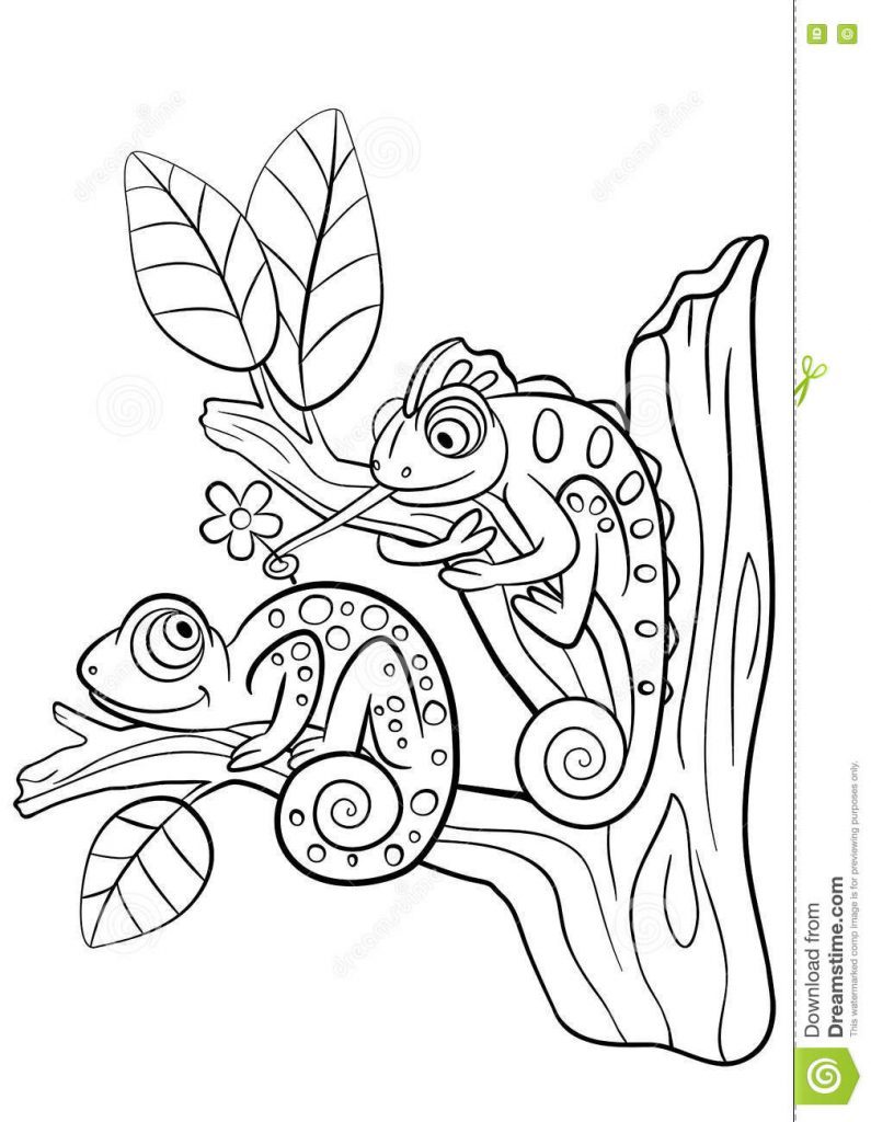 795x1024 Chameleon Coloring Pages Printable
