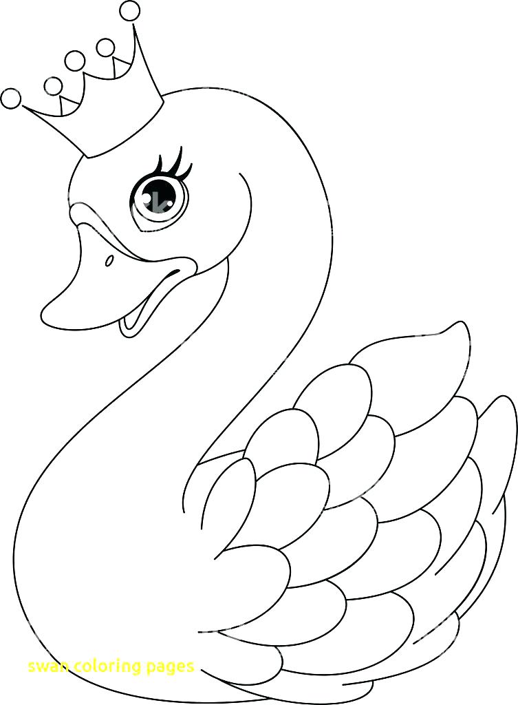 753x1024 Swan Pictures To Color