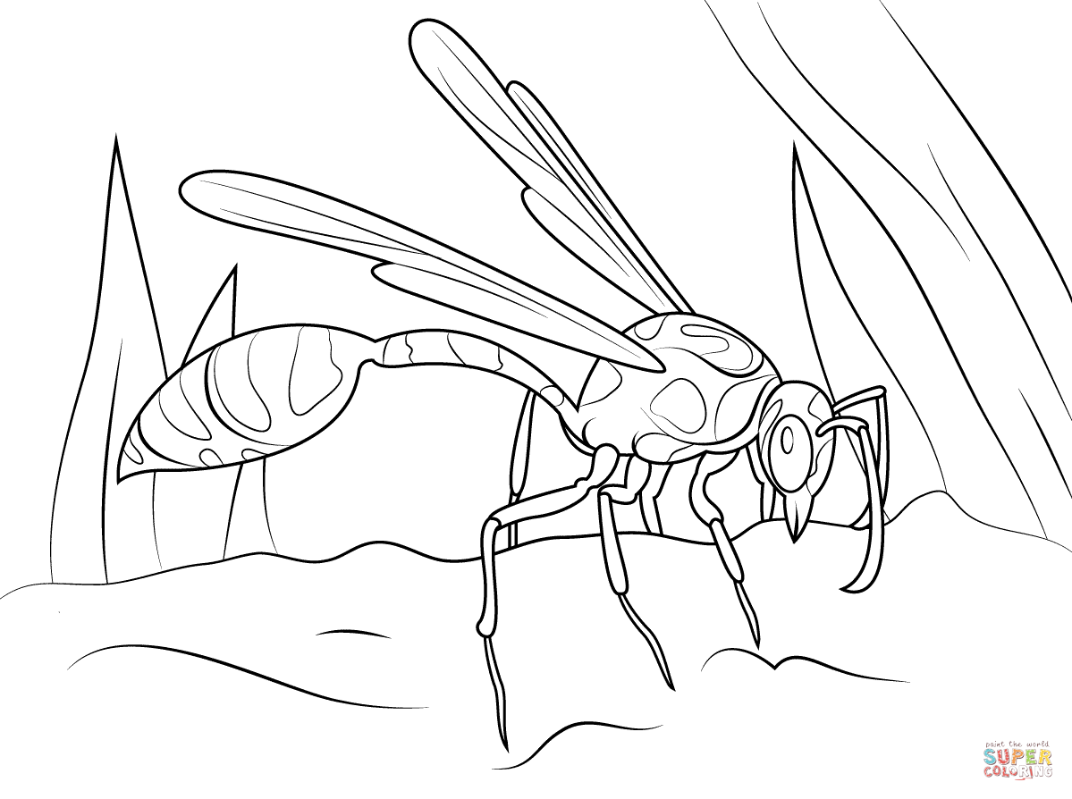 1199x894 Hornet Coloring Pages