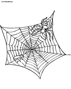 236x297 Charlottes Web Coloring Page Free Download