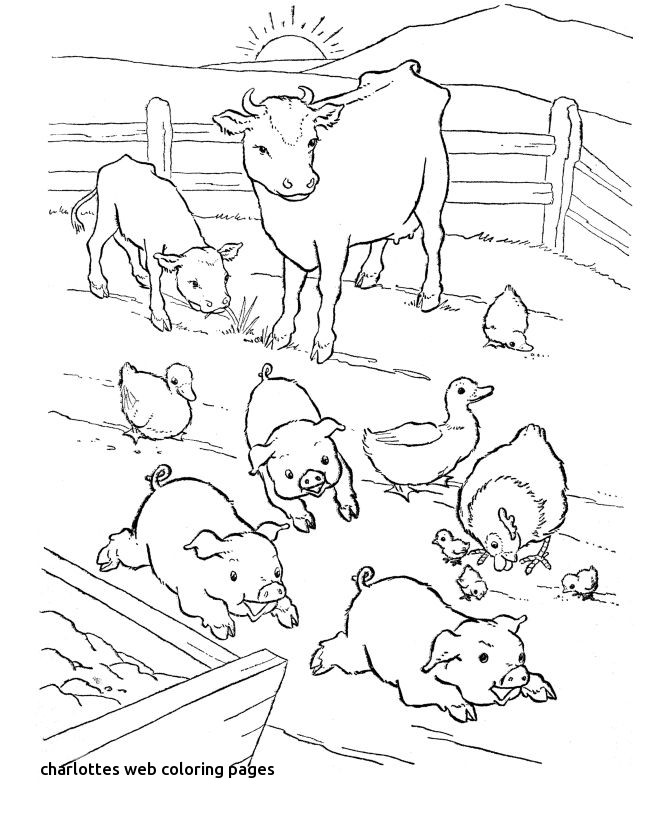 670x820 Best Ffa Quilt Images On For Charlottes Web Coloring