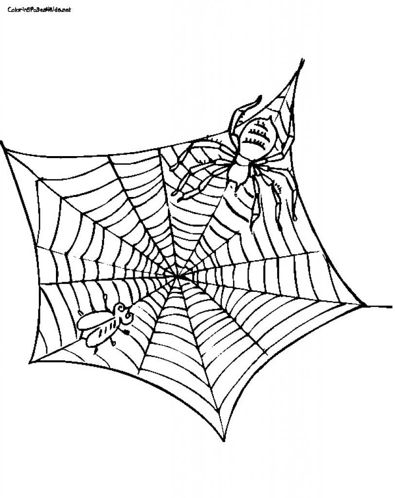 812x1024 Magic Charlottes Web Coloring Pages Charlotte